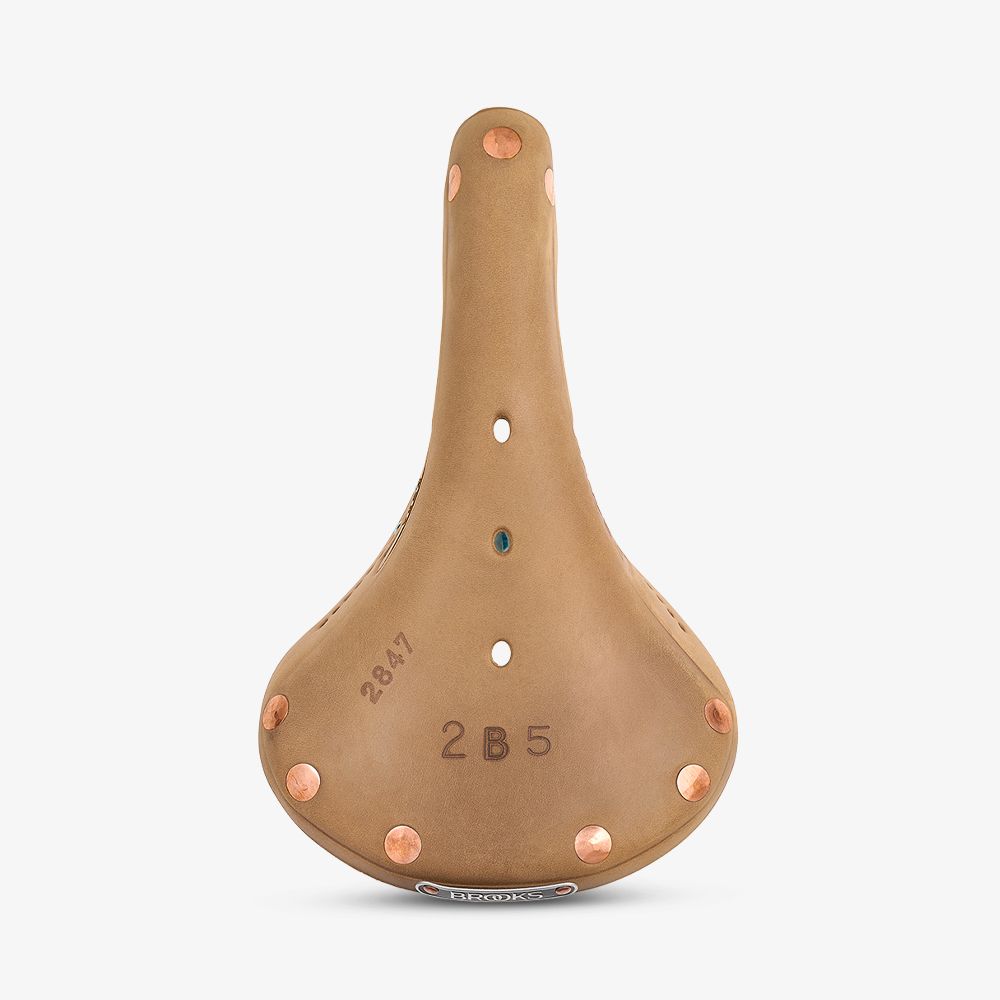 Brooks Limited Edition B17 Saddle